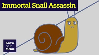 What is the Immortal Snail Assassin Meme?
