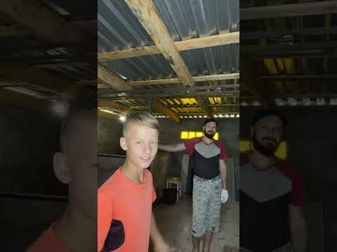 По приказу Сталина расстрелять