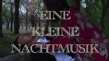 映画『アイネクライネ・ナハトムジーク』Eine Kleine Nachtmusuk - 特報