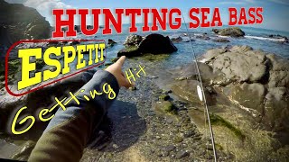 Top Water Sea Bass Fishing Fishus Espetit Out For A Cast