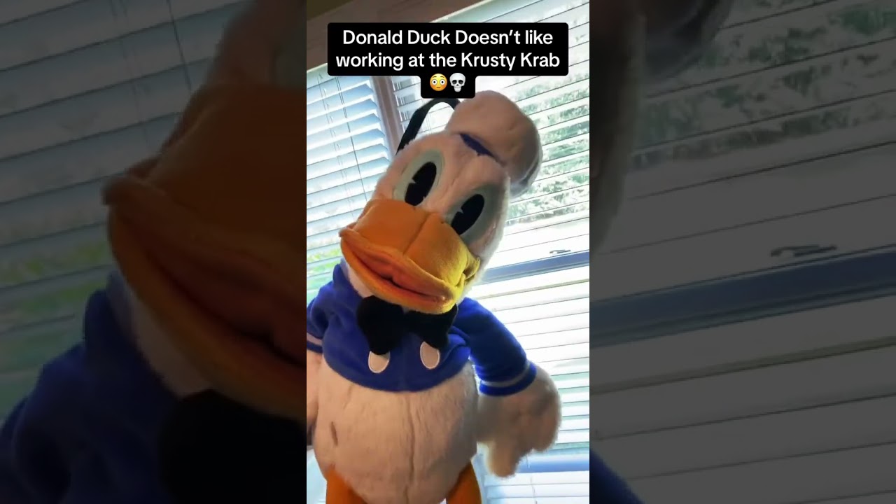 Дональду Даку не понравился его босс мистер Крабс 