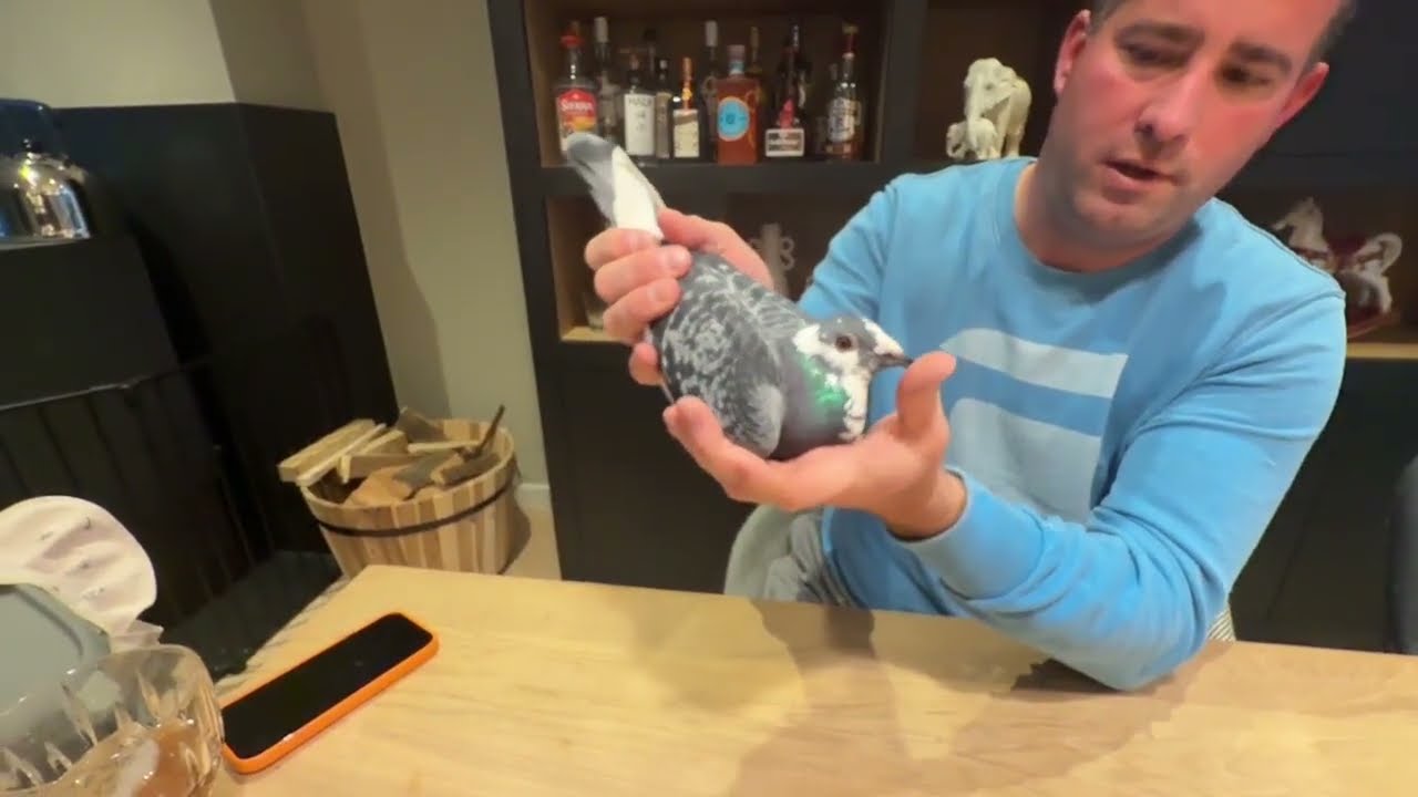 Meet the Thoroughbreds: Jo & Florian Hendriks