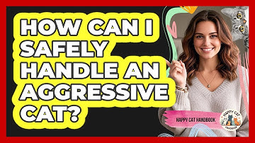 How Can I Safely Handle An Aggressive Cat?