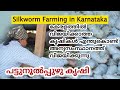 Silkworm Farming In Karnataka| How silk made from silk worm| Sericulture| Malayalam| DK 2 WORLD TV