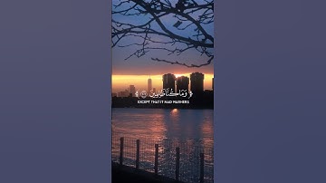 سورة الشعراء || آية ٢٠٤-٢١٢ (Surah Ash-Shu'ara) ﷽#quran #قرآن #yasseraldossari