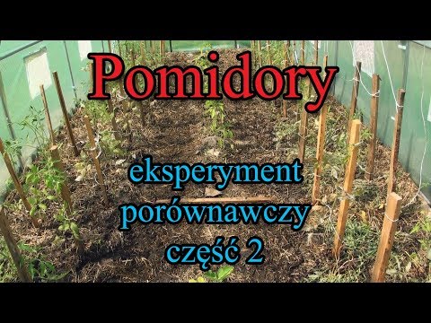 Wideo: Wermikulit Do Sadzonek: Co Jest Lepsze Niż Perlit? Jak Używać I Ile Dodać Do Gleby? Zastosowanie W Uprawie Pomidorów I Innych Upraw