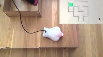 CS10 Final Project Group Video