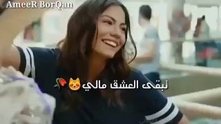 سيف نبيل كل يوم الك اشتاق  حالات واتس اب 