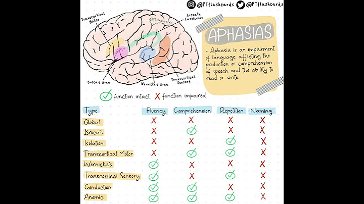 Anatomy of brain @AsapSCIENCE @GetSetFly #science #instagram #biology