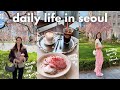 virginia &amp; seoul vlog 🌸 introducing my fiancé to my parents, famous tissue bread, han river picnic