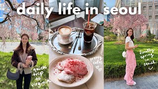 virginia \& seoul vlog 🌸 introducing my fiancé to my parents, famous tissue bread, han river picnic