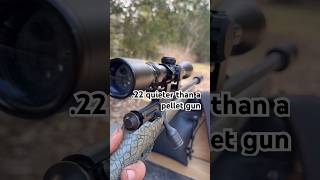 Suppressed .22 shooting silent bullets #outdoors #hunting