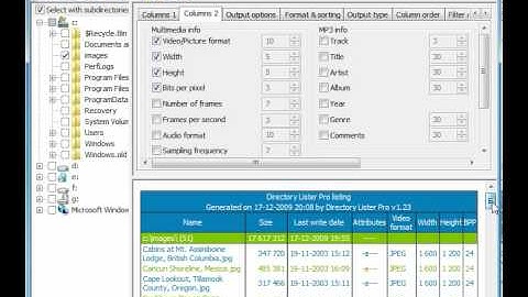 Nice html directory listing with Directory Lister Pro