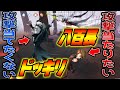 【第五人格】両陣営に”わざと負けてください”と伝えて対決させたら面白すぎたｗｗｗｗｗ【Identity V】【アイデンティティ V】