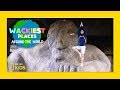 Fremont Troll Facts and Trivia
