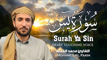 سورة يس كاملة مكتوبة  للقارئ الشيخ محمد الفقيه   تلاوة خاشعة ومؤثرة😌💚   محمد الفقيه Mohamed AL Fak