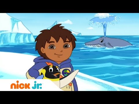 Гоу, Диего, Гоу! | Школьные годы! | Nick Jr. Россия