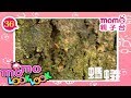LOOK LOOK 36 螞蟻 歌 M O M O 歡樂谷S3 兒歌 童謠 邊聽音樂邊學習 認識職業 工具車 動物 猜一猜 學齡幼兒 認知學習 親子台 官方版 Momokids LOOK LOOK 36 螞蟻 歌 M O M O 歡樂谷S3 兒歌 童謠 邊聽音樂邊學習 認識職業 工具車 動物 猜一猜 學齡幼兒 認知學習 親子台 官方版 Momokids