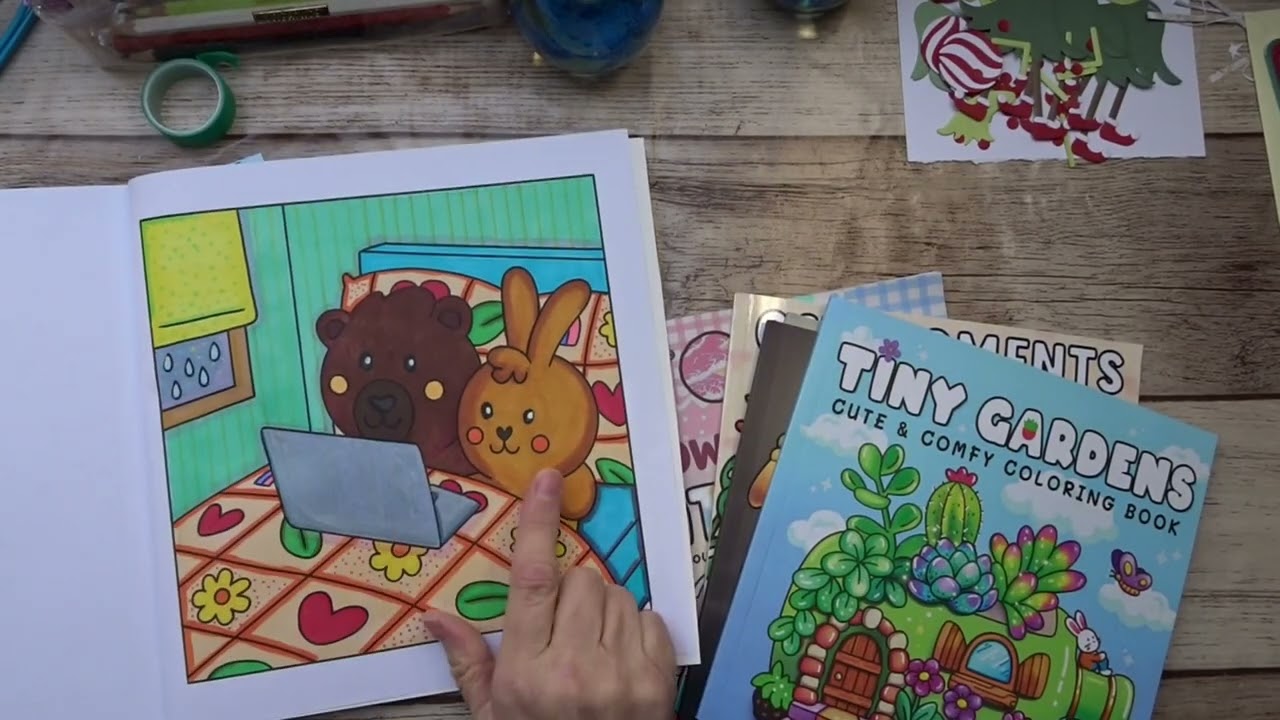 Cozy kleurboekjes van temu /Temu coloring books
