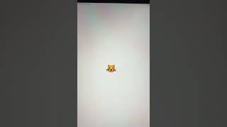 هذا البرنامج يترجم لغة القطط 😻 screenshot 3