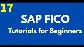 17-Advanced Foreign Currency Settings in SAP FICO (Part 2)