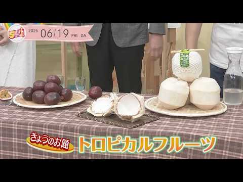 5 Kigen Wisdom Bag: Tropical Fruits - YouTube