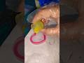 How to make resin shaker /How to make resin shaker charm / beautiful heart shaker keychain #shorts