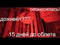 Осмотр Пчелиных Семей