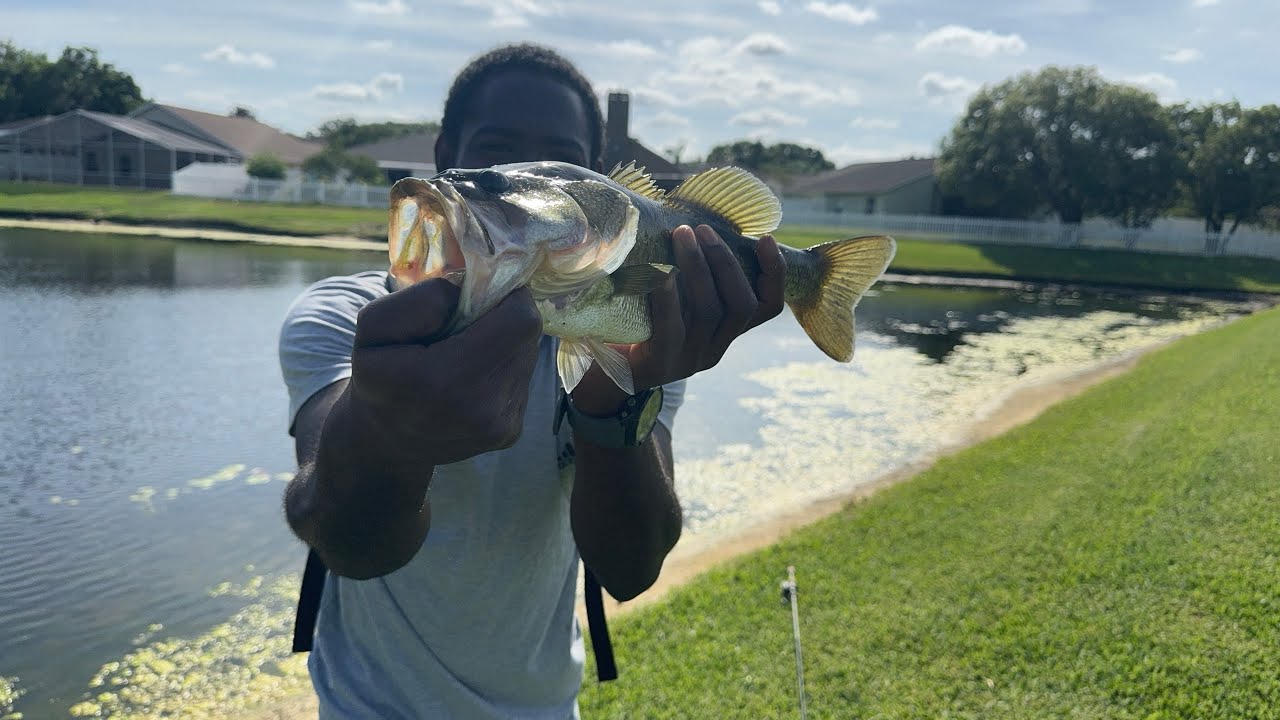 BEST BASS FISHING DAY.!!