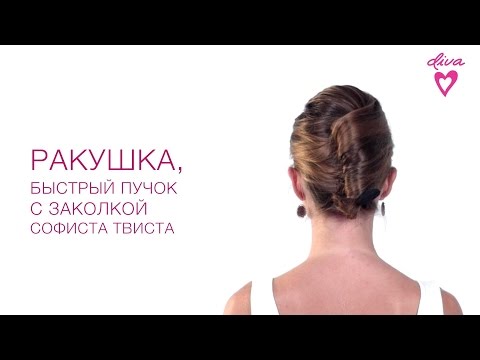 Ракушка, быстрый пучок с софиста твиста Ракушка, быстрый пучок с софиста твиста