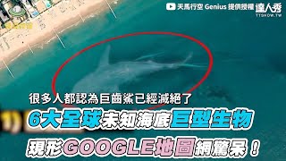 【6大全球未知海底巨型生物 現形GOOGLE地圖網驚呆】@genius521