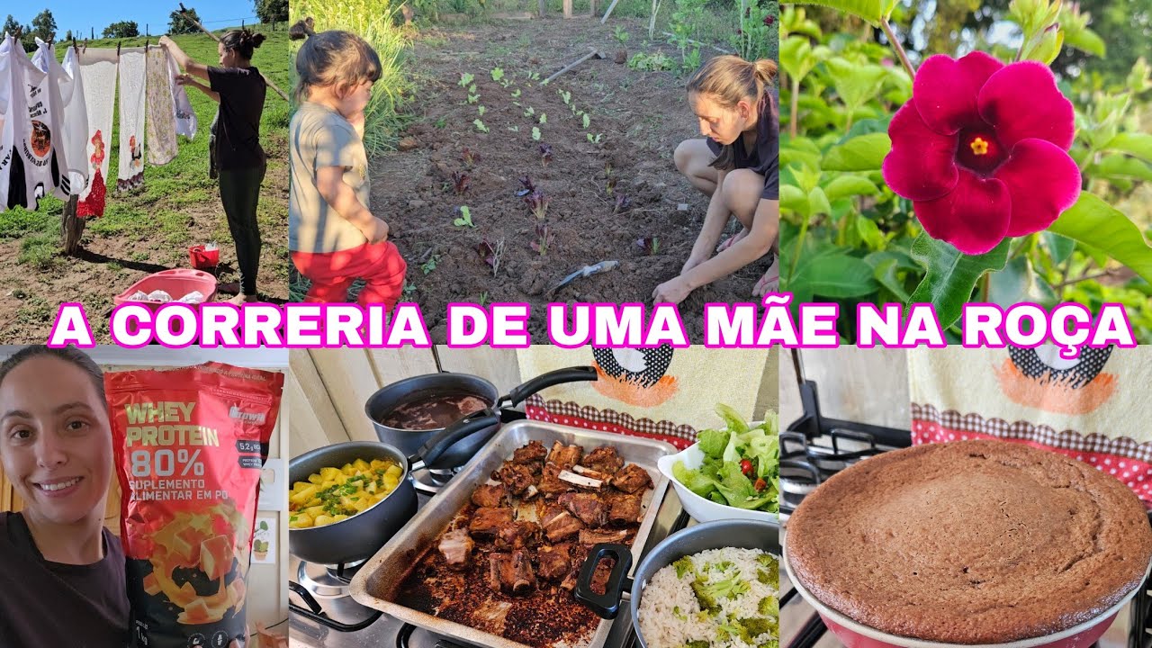 O DIA REAL TODO COM A GENTE. ALMOÇO NO CAPRICHO,PLANTIO NA HORTA,BOLO DE BANANA COM ACHOCOLATADO. 