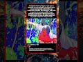 En Jujutsu Kaisen, Dagon creyó que su Dominio era una garantía de victoria total...