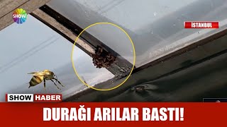 Durağı arılar bastı!