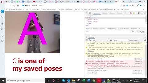 Human Pose Estimation Project