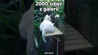 TESTUJEMY czy AI ogarnie chaos z galerii