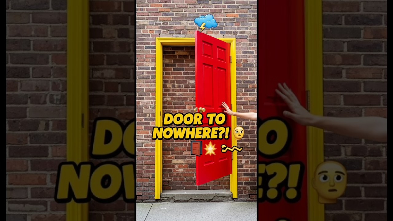 They Built THIS Door… for NOTHING?! 🚪🤦‍♂️ 