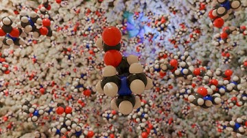 Panorama Inside a Synaptic Vesicle: Surrounded by Acetylcholine