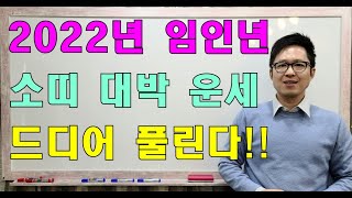 명리학으로 본 2022년 신축년 소띠 운세(49년, 61년, 73년, 85년, 97년생)#명리학 #명리학강의…