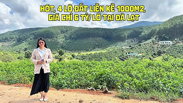 4 ĐẤT LIỀN KỀ TẠI CAM LY ĐÀ LẠT - VIEW SUỐI, ĐỒI THÔNG, DIỆN TÍCH HƠN 1000m2 - CHỈ 6 TỶ/LÔ #đàlạt