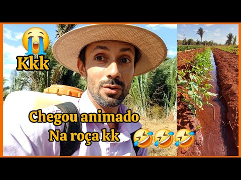 🤣Olha quando o