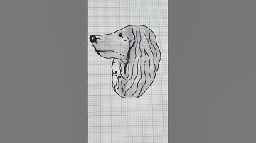 Bức tranh đảo ngược#drawing #art #xuhướng #foryou #shortvideo #trending #shorts #youtubeshorts#funny