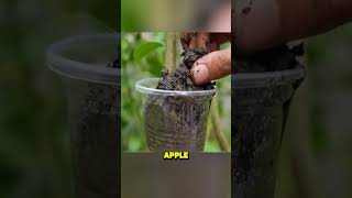 Celebrity This Man Created a Special Tree 😱 Wealth