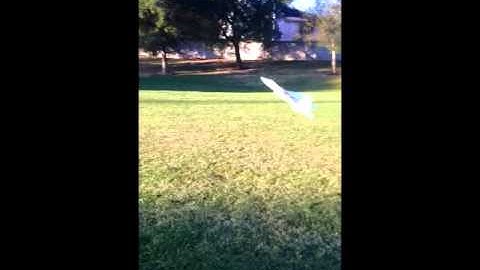 amazing rcpowers f22 music video