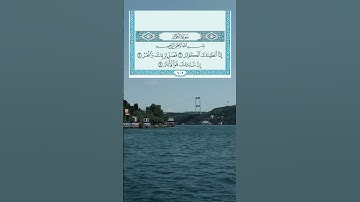 سورة الكوثر القارئ حسن الواجدي #سورة_الكوثر#القران_الكريم#تلاوة_خاشعة#قران#Qur,an#Motivation#Islàam