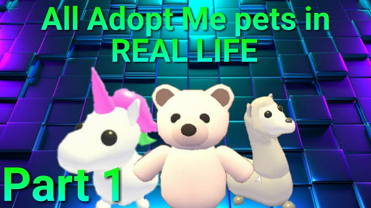 All Adopt Me Pets In Real Life Part 1 Mr Oof Youtube