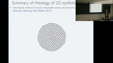 What do guitar strings and balloons have in common with biological tissues?
