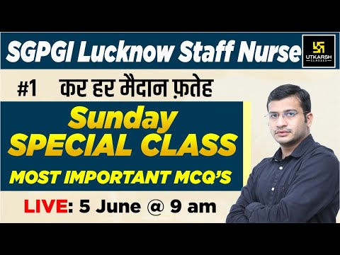 वीडियो: महिला अपने जीवन को बचाने वाले साहसी भटक कुत्ते को अपनाने के लिए हजारों मील की दूरी तय करती है