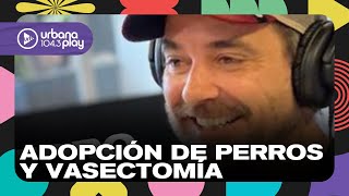 Pedro Alfonso: hogar de tránsito para perros, adaptación de los hijos, vasectomía y más #Perros2024