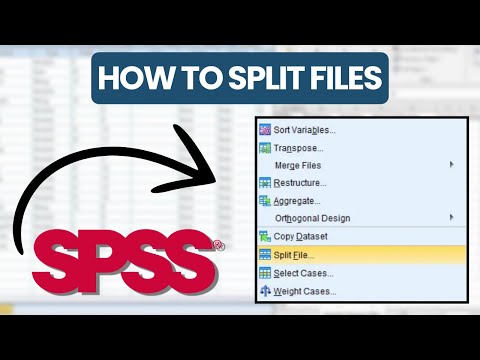 How to Split Files in SPSS (2026)